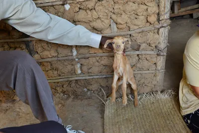 DSC_5354 (Large).JPG